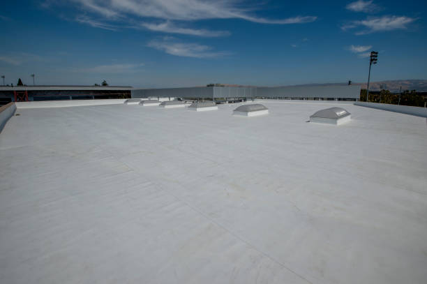 Best Roof Ventilation Installation  in USA